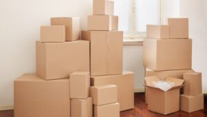 South Cargo Packers and Movers Bibwewadi Pune