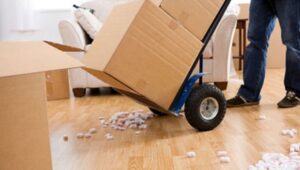 South Cargo Packers and Movers Kharadi Pune