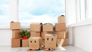 South Cargo Packers and Movers Pimple Gurav Pune