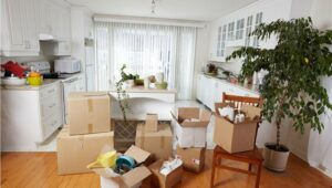Packers and Movers In Ravet