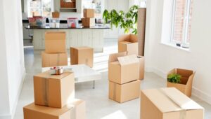 Packers and Movers Ravet