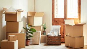 Packers and Movers Moshi Pune