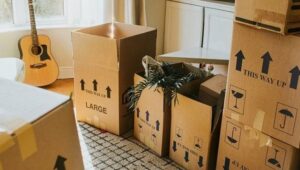 Packers and Movers Pimple Nilakh Pune