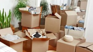 Packers and Movers Sus Pashan